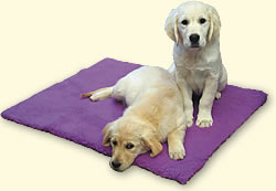 Click here to browse our range of luxury animal bedding
