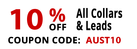 discount code