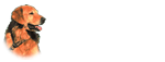 Trenigens Dog Products