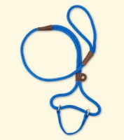 Big-Dog-Walker-blue7