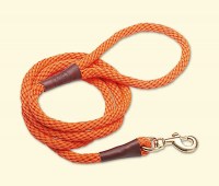 snap-leash-dogids